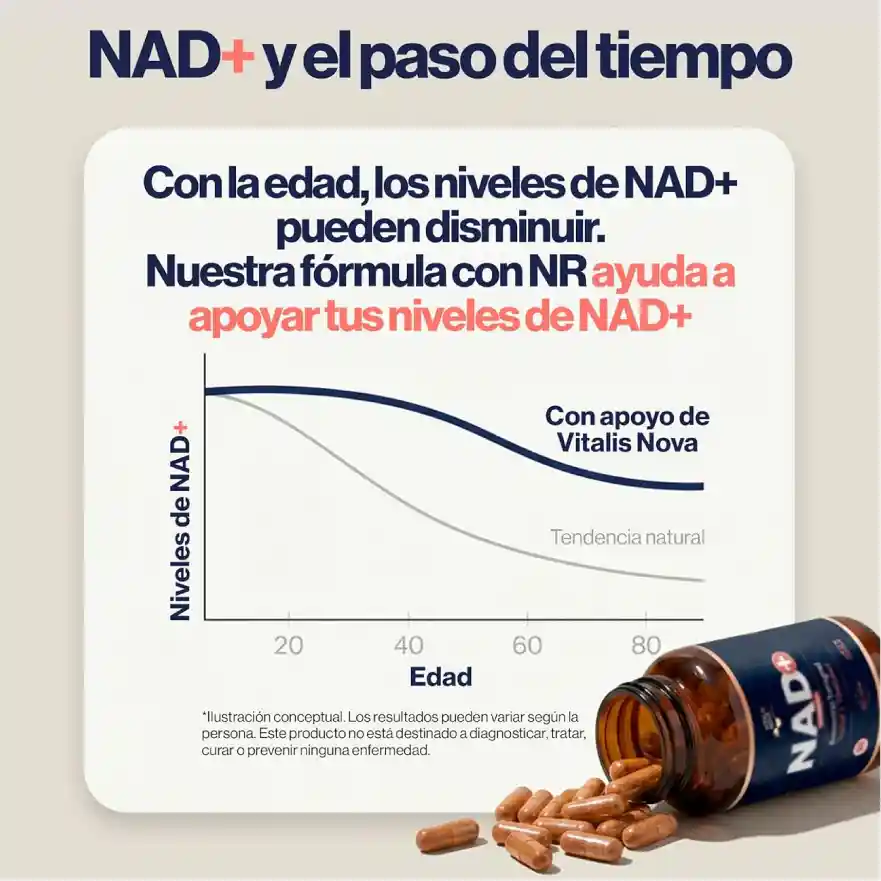 Infografía Amazon sobre niveles de NAD+ con gráfico visual