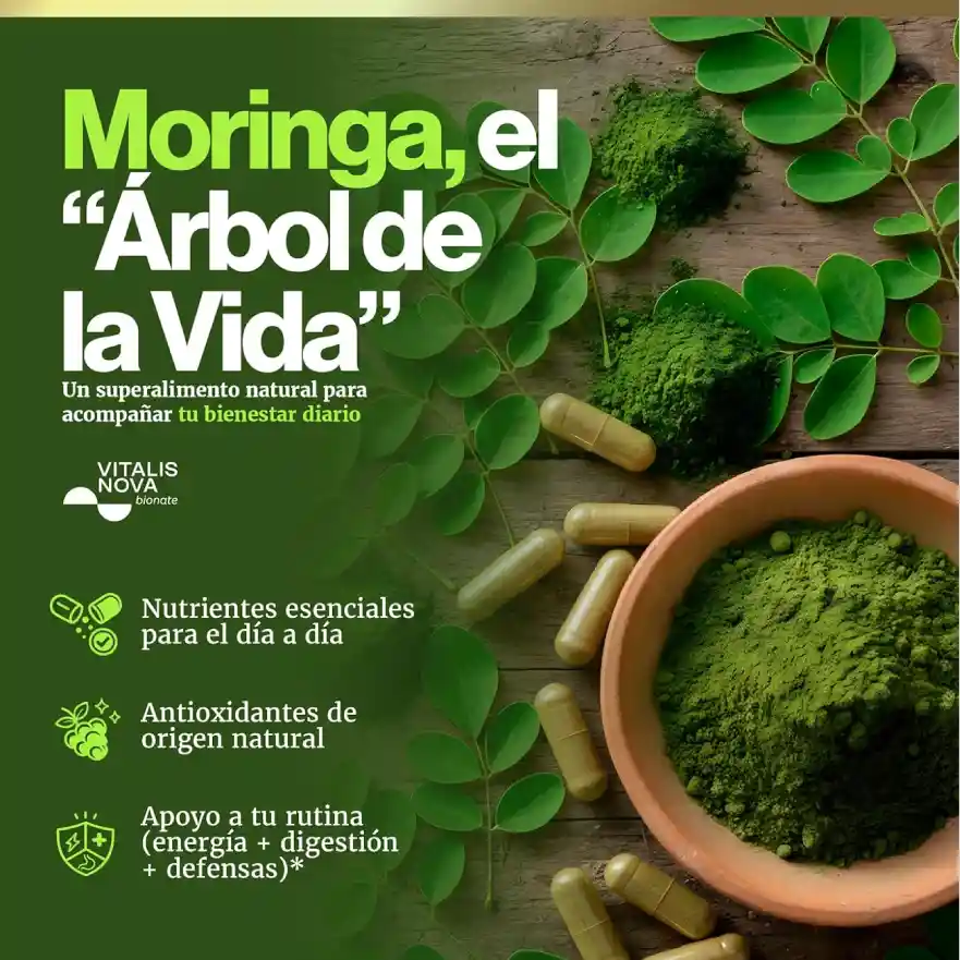 Creatividad Amazon sobre beneficios de la moringa