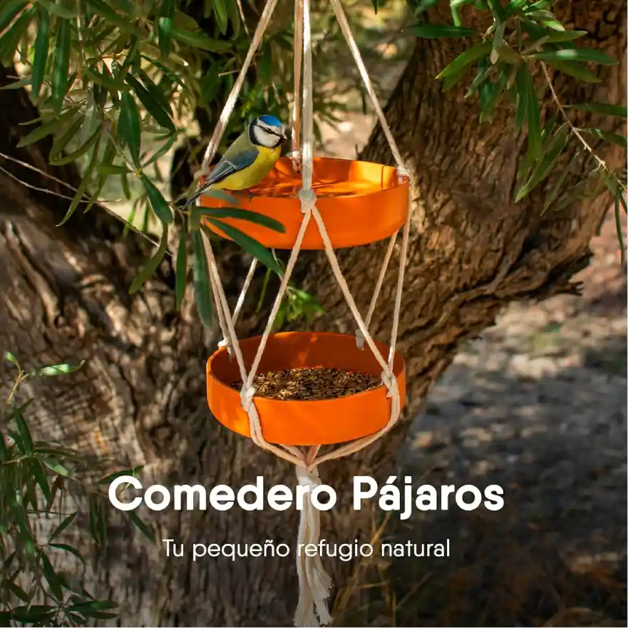 Imagen lifestyle Amazon de comedero para pájaros colgante